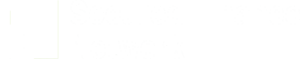Secured Finance Network